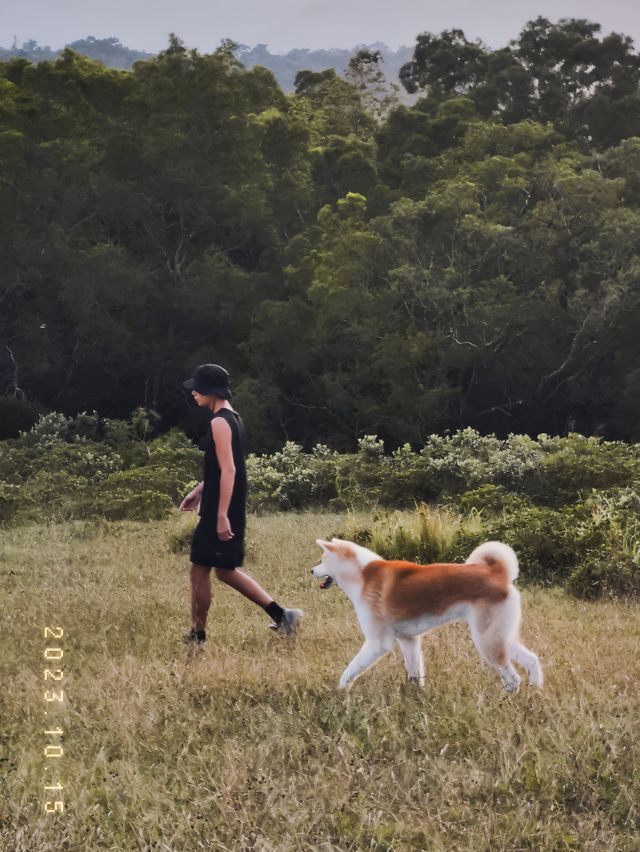 香港 | 40min登頂 在昂平大草原感受風和大海的魅力