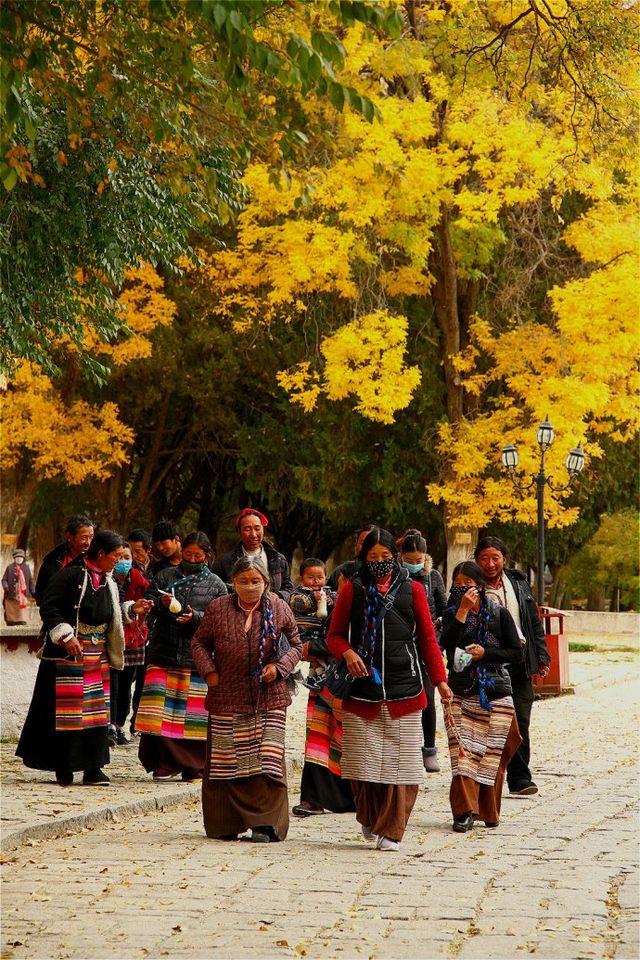 羅布林卡，青藏高原上的“頤和園”