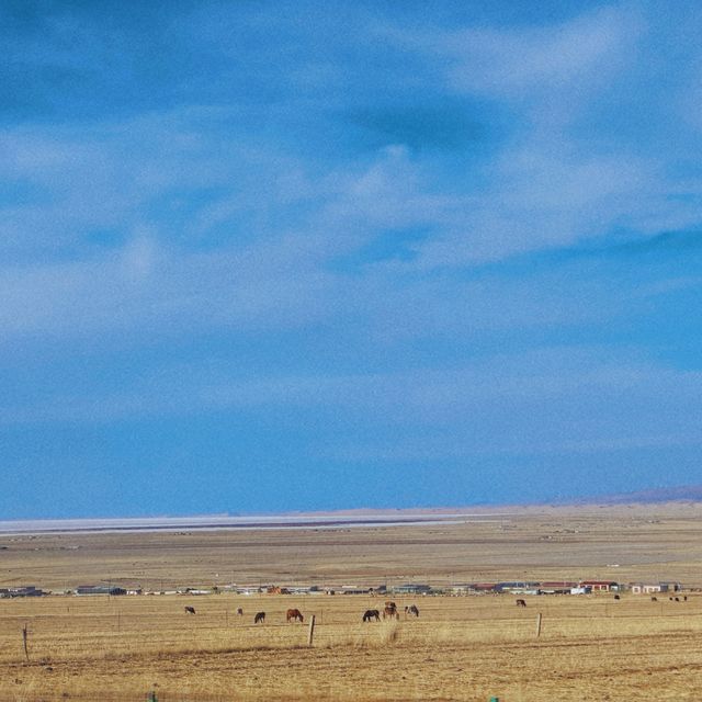 Qinghai Lake - The hidden treasure ! 