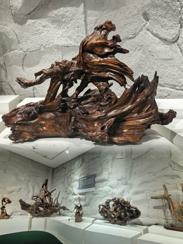 寒假親子遊來吉林必打卡吉林市博物館系列之松花湖浪木藝術館