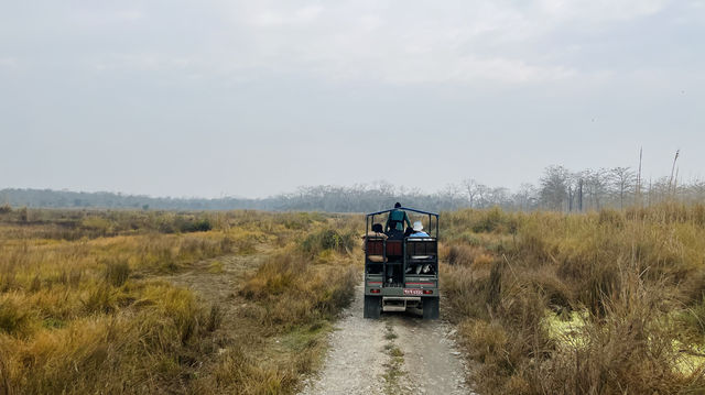 尼泊爾Day5 | 奇特旺森林吉普車&大象Safari