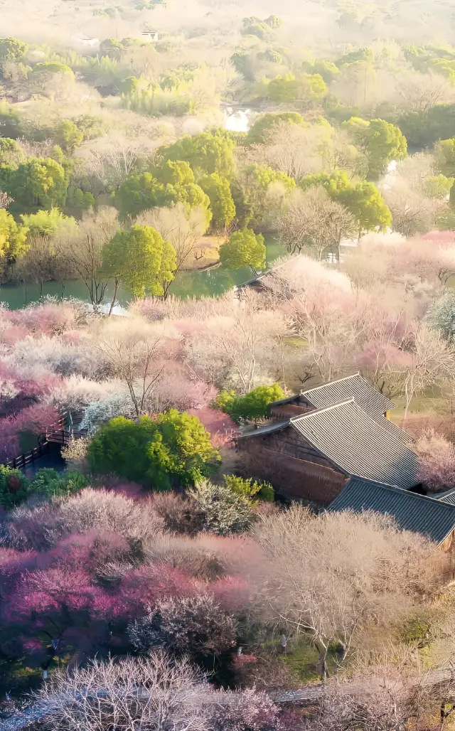 行ってみましょう、この花盛りの山々を