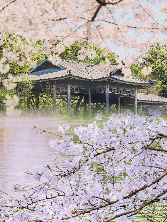 Only after visiting Hangzhou in March and April can you say you've truly been to Hangzhou