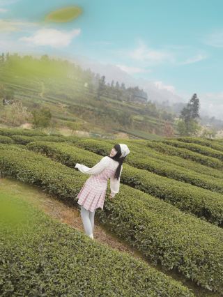 不負春光🟢在自貢榮縣做一日採茶人