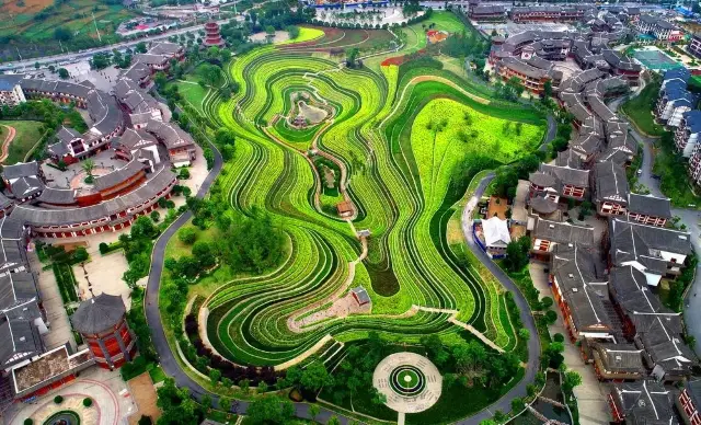 Fingerprint Terraces Flower Sea