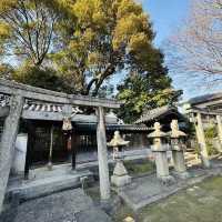 打卡日本宇治平等苑