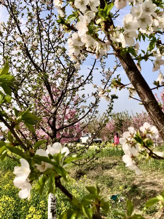 Meimiao Ecological Tourism Village