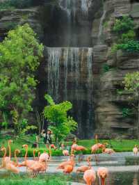 迄今為止去過最好的鳥類動物園！