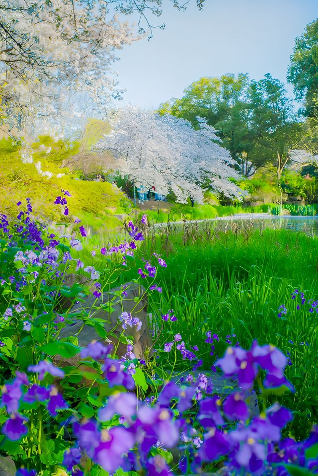 巔峰期TOP鼋頭渚已經終結了比賽(附攻略) 巔峰期TOP鼋頭渚已經終結了比賽(附攻略)