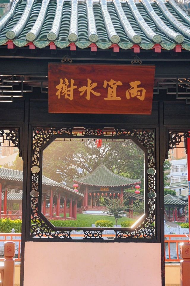 深圳｜ 市中心的一片寧靜！
