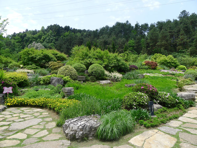 鮮花山谷——登高雲山·雲谷花境