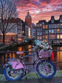 🌷✨ Enchanted Netherlands: Tulips & Fairy