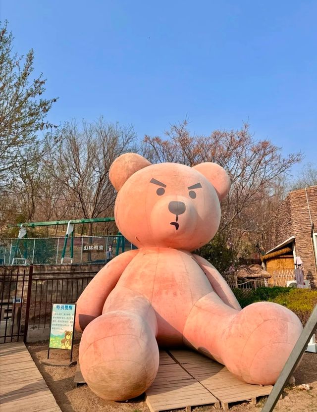 開往春天的小火車｜逛公園遛娃兩不誤！