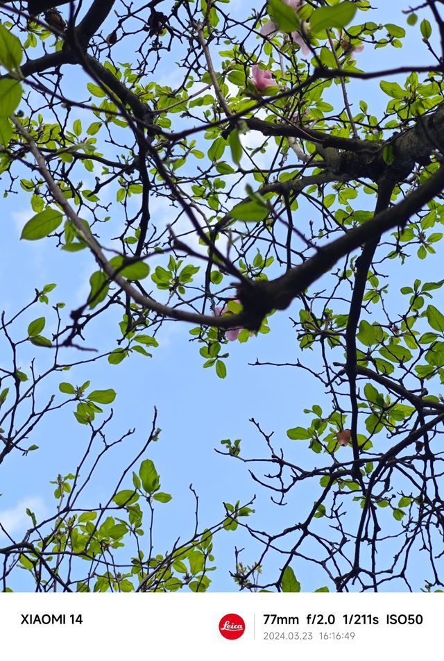 桂林南溪山公園之旅