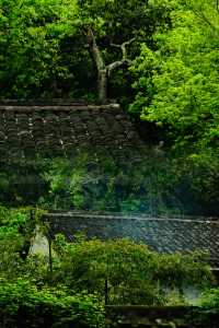 原以為靈隱寺已經很美了‖直到我去了這裡…
