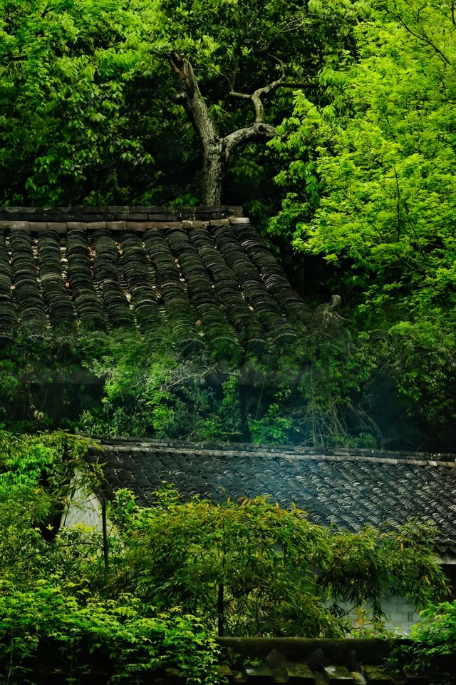 原以為靈隱寺已經很美了‖直到我去了這裡…