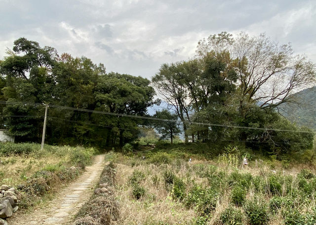 歷溪古村「戲水、喝茶、聽故事」