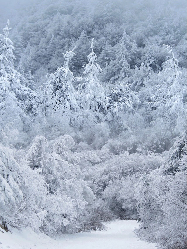 救命！是全西安人都去這裡看雪了嗎？周末去哪兒？