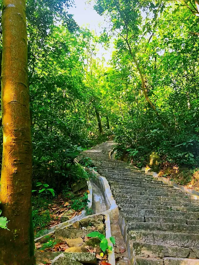 鳳凰山---深圳寶安第一山