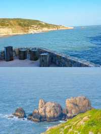 不聽勸去了花鳥島去花鳥島一定要知道