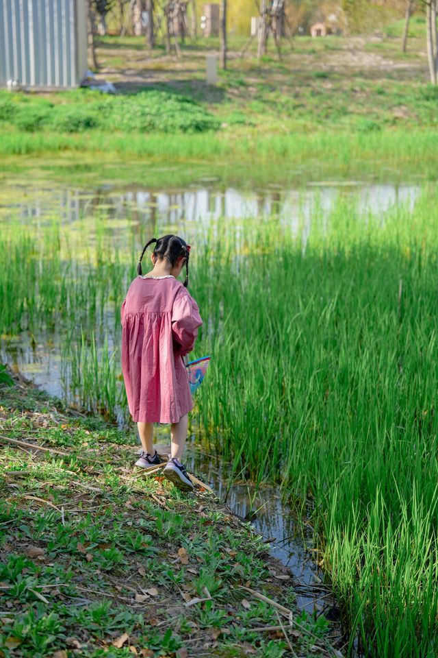 春遊記小眾白沙灘、抓蝌蚪、賞花的濕地公園 春遊記小眾白沙灘、抓蝌蚪、賞花的濕地公園