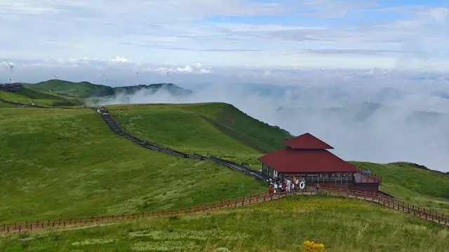 The Asilisi Grassland in Hezhang County, Guizhou Province welcomes you