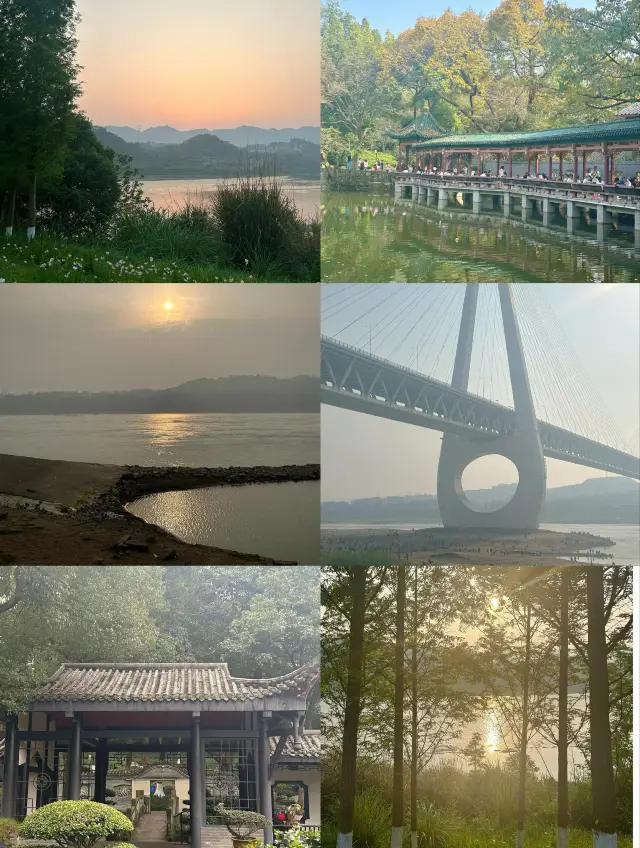重慶撮影｜無料で入れる五つの大きな公園を見逃さないでください