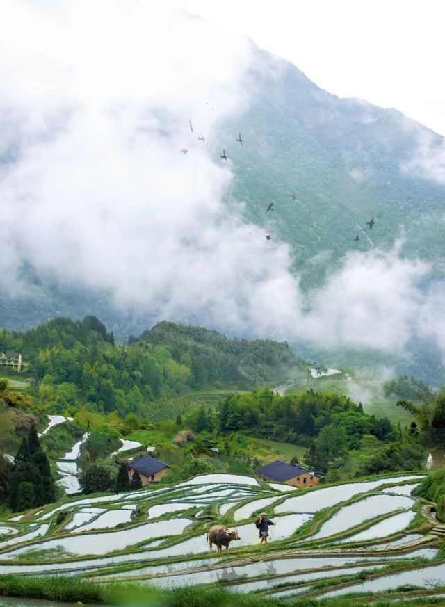 麗水雲和，一處隱藏在浙江的絕美秘境！