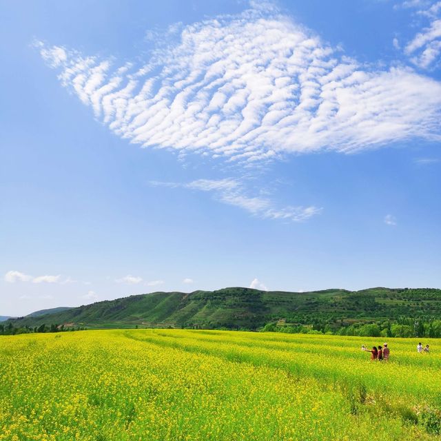 五一出遊，寧夏固原二日遊！