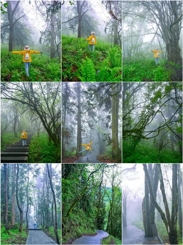 五一森系徒步｜無料で森の息吸い、人少なく景色美しい！