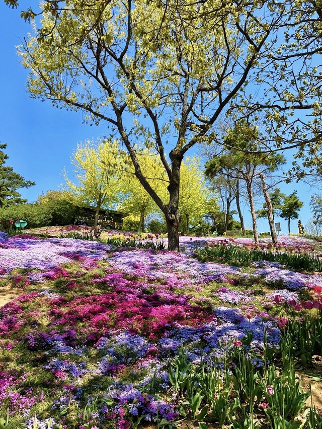 英歌石植物園不愧是現實版的莫奈花園！！