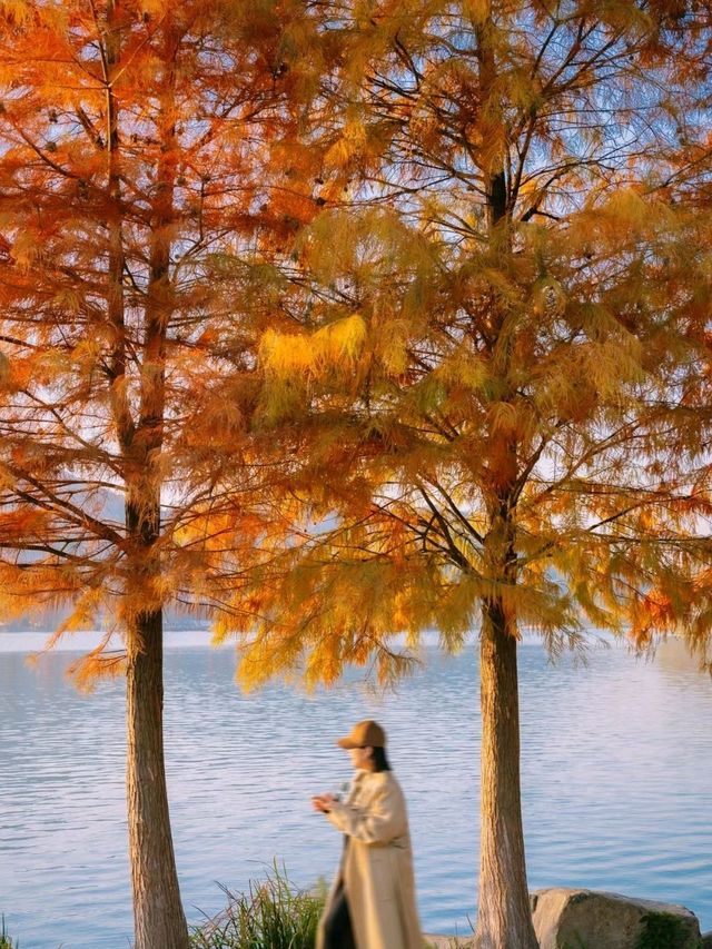 Lovely Xianghu Lake in Hangzhou❤️😍