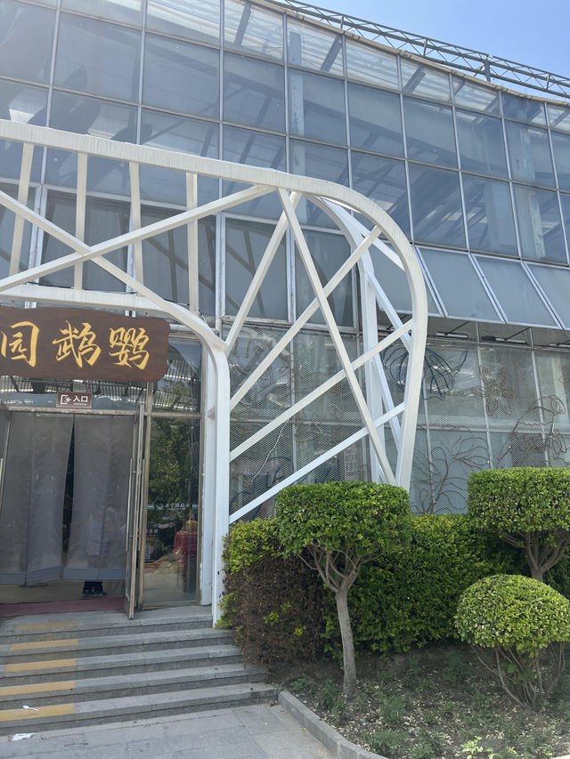 北京豐台南宮五洲植物園｜被騙了這哪裡是植物園