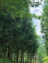 從綿陽出發1小時直達的寶藏玩水、露營親子徒步地