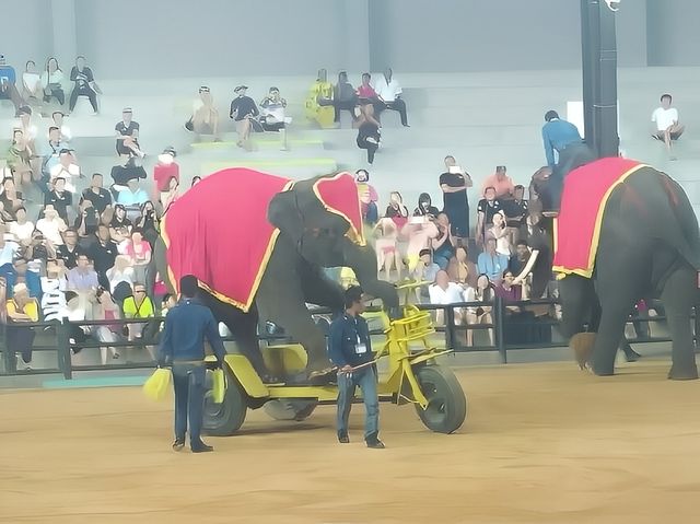 來芭提雅必去的美麗樂園。