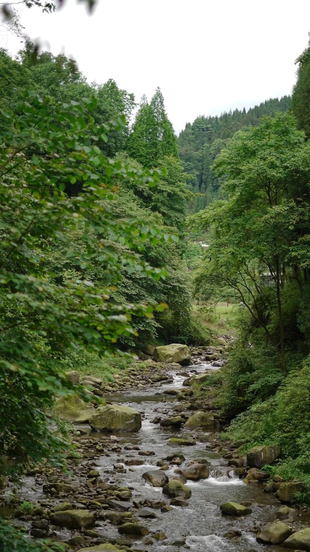 紅峽谷棧道觀通橋