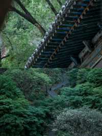 藏山