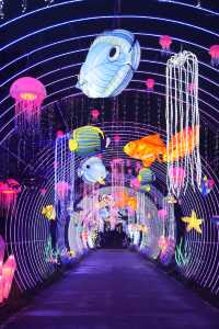 無錫花星球|一場夏日狂歡等你來