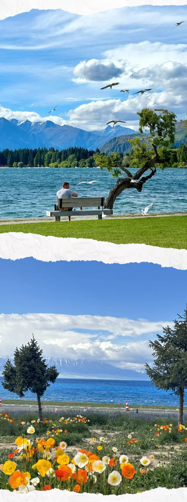New Zealand: Romantic Poems on Benches