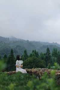 去雅安山里赴一場煙雨，尋一席靜謐，淋一身詩意