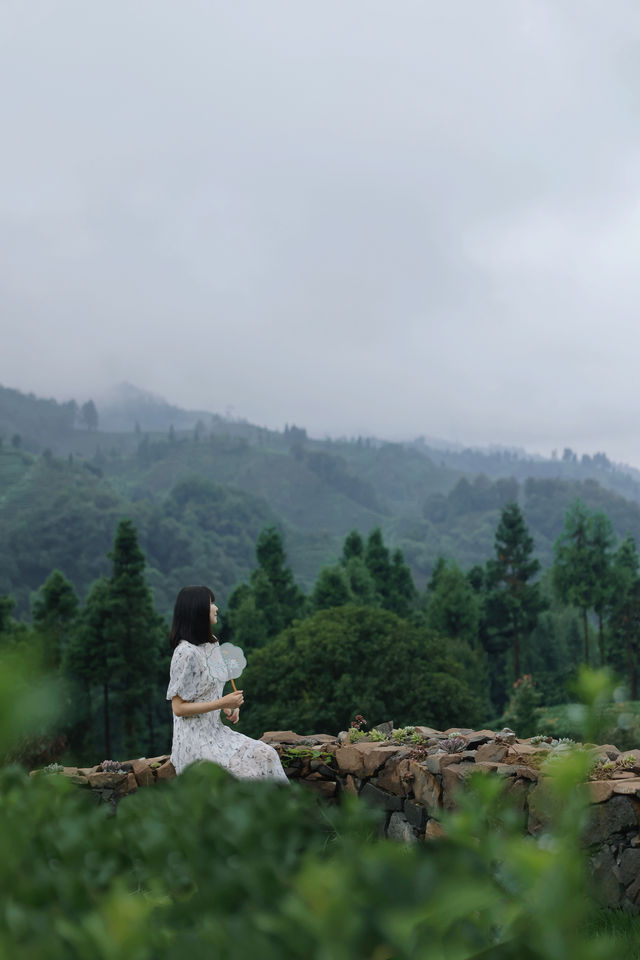 去雅安山里赴一場煙雨，尋一席靜謐，淋一身詩意