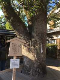 京都晴明神社！