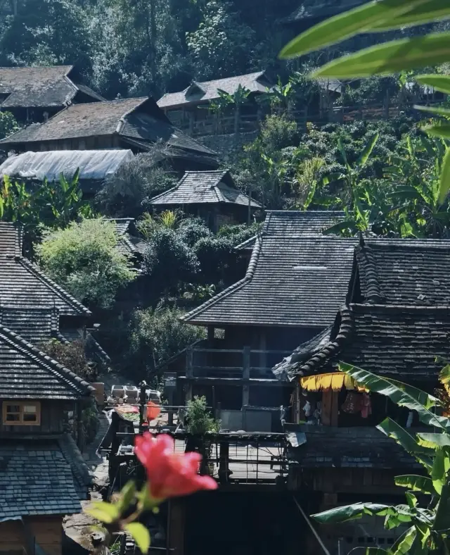 A must-visit place for an in-depth tour of Pu'er - Jingmai Mountain