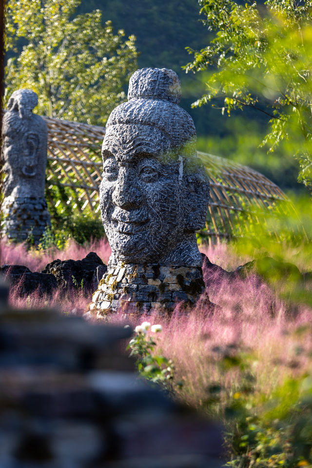 The popular Dieshi Flower Valley's Pink Muhly is about to dominate the screen~