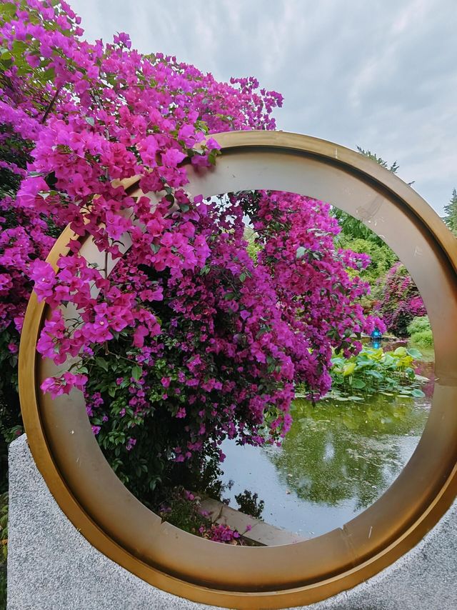 四川成都｜百花潭，走進花花的世界。