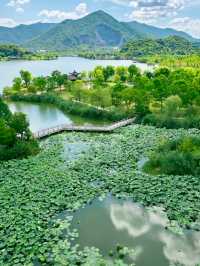 天氣炎熱，我在杭州找到了18°C的避暑洞穴。