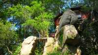 烏山公園石林景區。