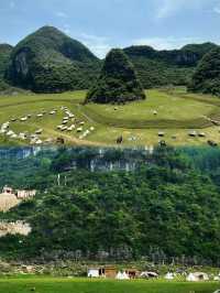 【寶藏民宿 | 屿山•牧龍，心靈的棲息之所】。