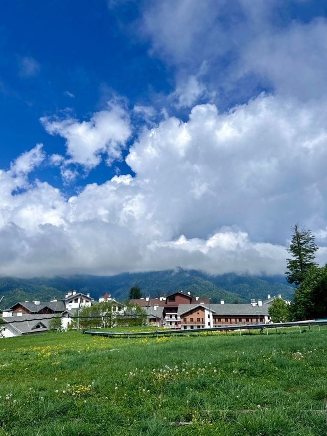 【索契 | 黑海明珠的夢幻之旅】。