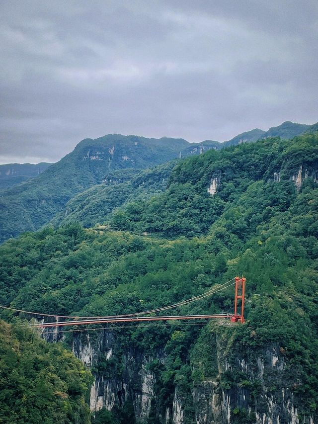 襄陽九路寨｜綠野仙蹤般的大自然寶藏之地。